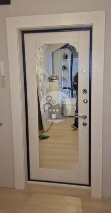 входная дверь в квартиру с зеркалом, отделка МДФ
