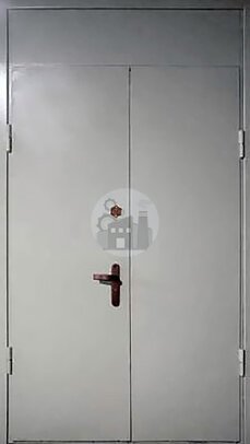двустворчатая дверь с верхней вставкой, окрас нитроэмаль-ДВ-197